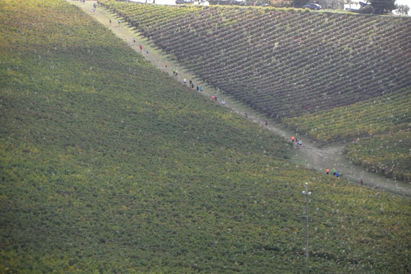 Chianti-1 2016 - 071